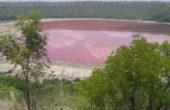 Μυστήριο με λίμνη 50.000 χρόνων στην Ινδία που έγινε ροζ μέσα σε μια ημέρα